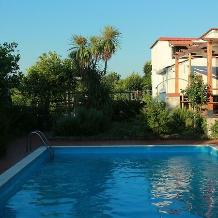 Villa Desiderio D'Ammore Corbara  Exterior foto