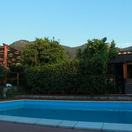 Villa Desiderio D'Ammore Corbara  Exterior foto