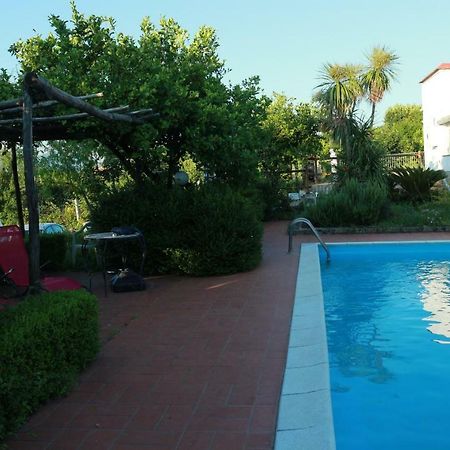 Villa Desiderio D'Ammore Corbara  Exterior foto