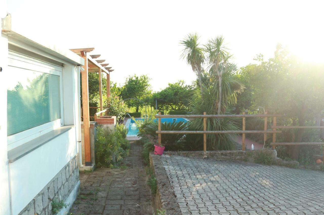 Villa Desiderio D'Ammore Corbara  Exterior foto