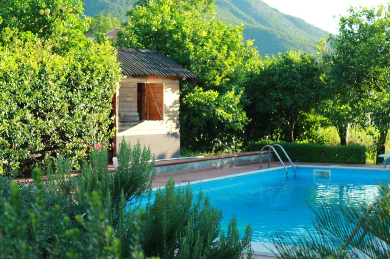Villa Desiderio D'Ammore Corbara  Exterior foto