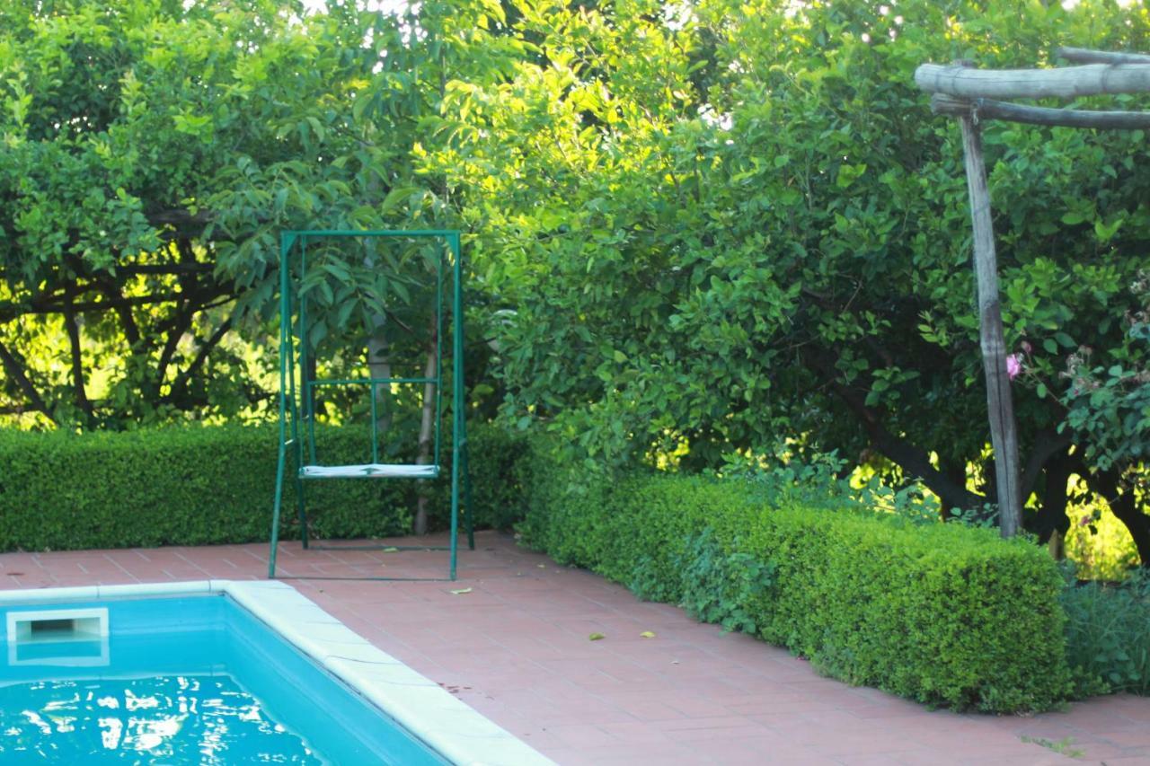Villa Desiderio D'Ammore Corbara  Exterior foto