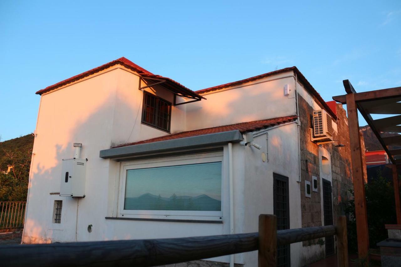 Villa Desiderio D'Ammore Corbara  Exterior foto