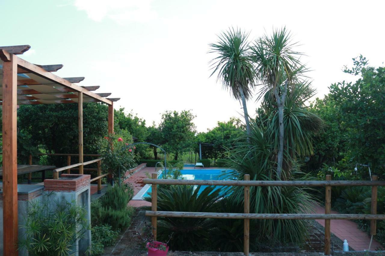 Villa Desiderio D'Ammore Corbara  Exterior foto