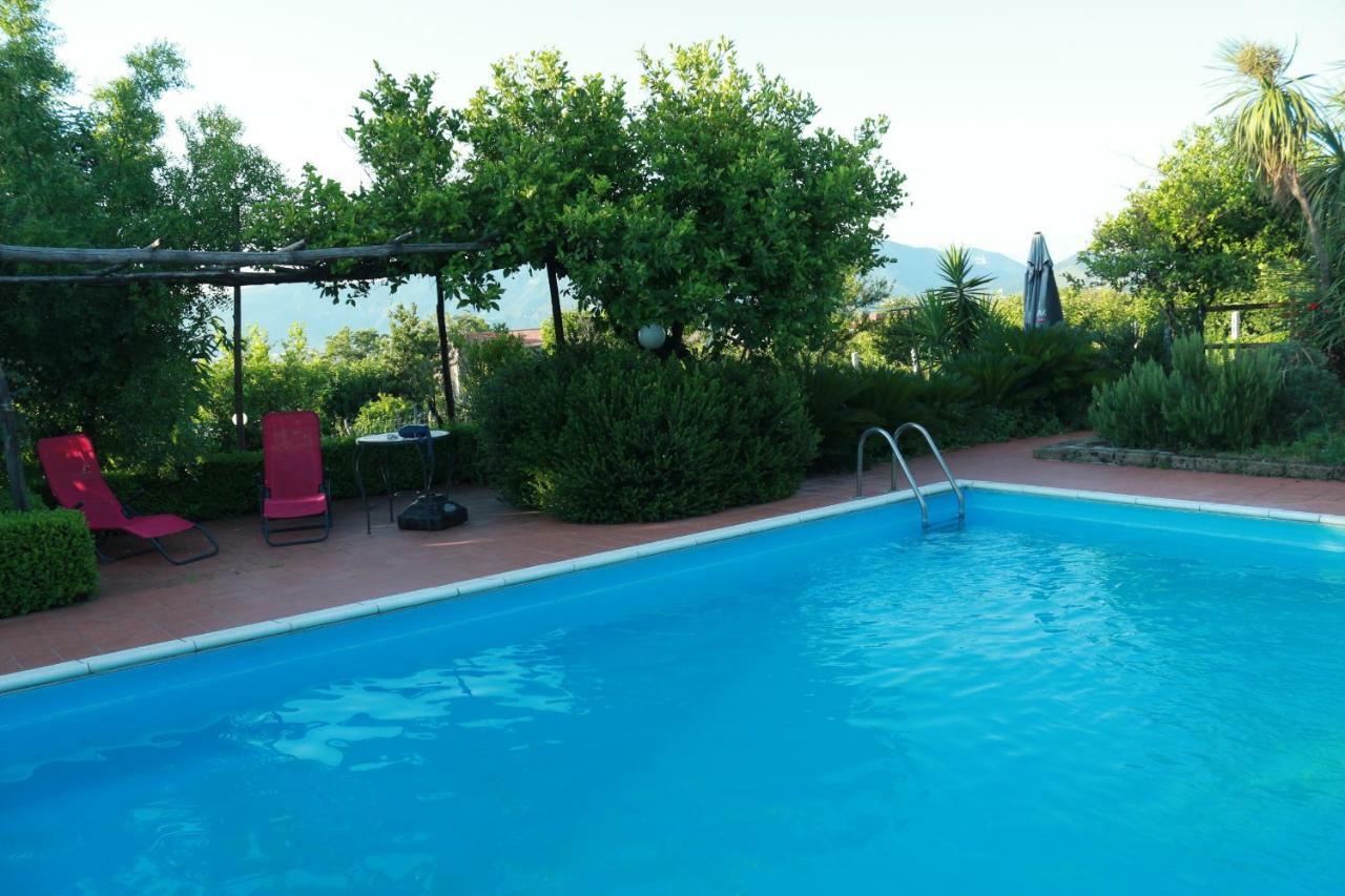 Villa Desiderio D'Ammore Corbara  Exterior foto