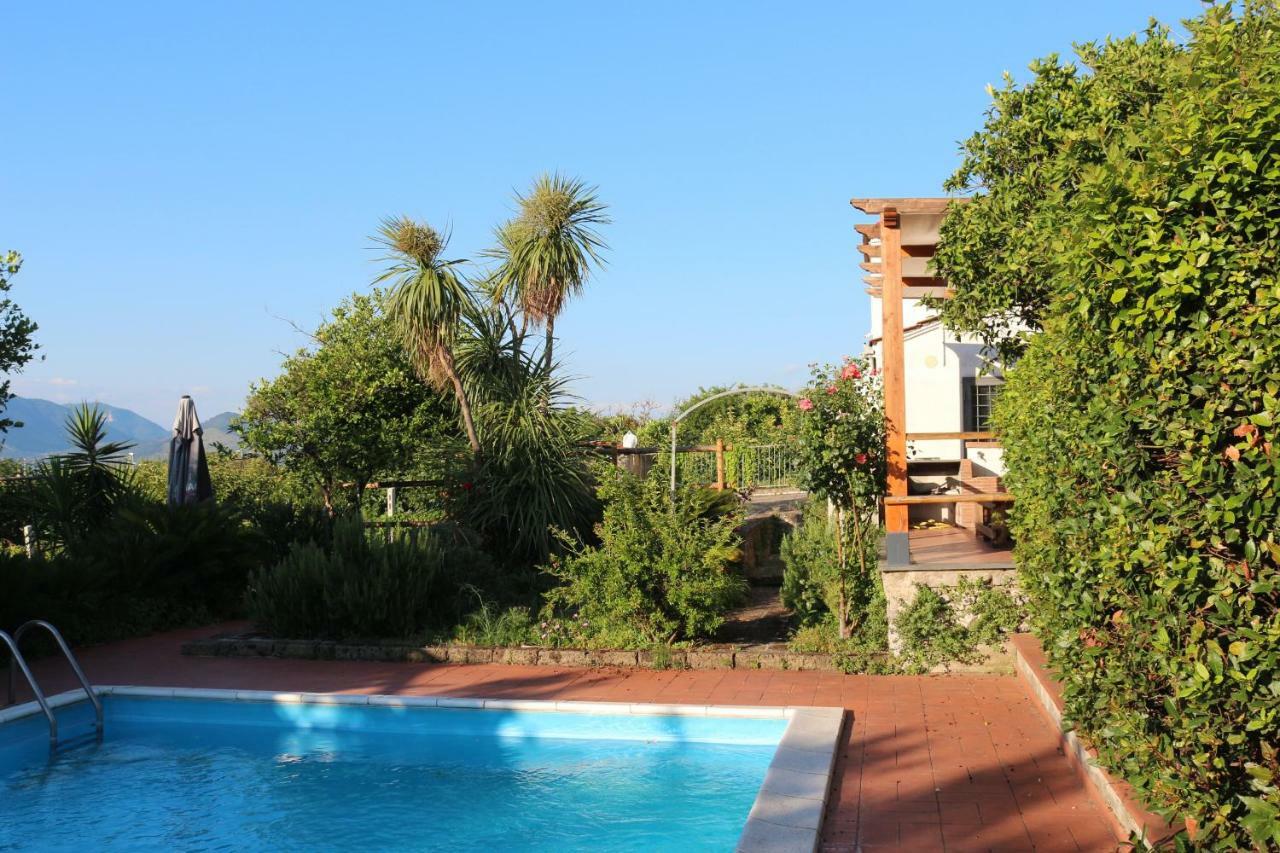 Villa Desiderio D'Ammore Corbara  Exterior foto