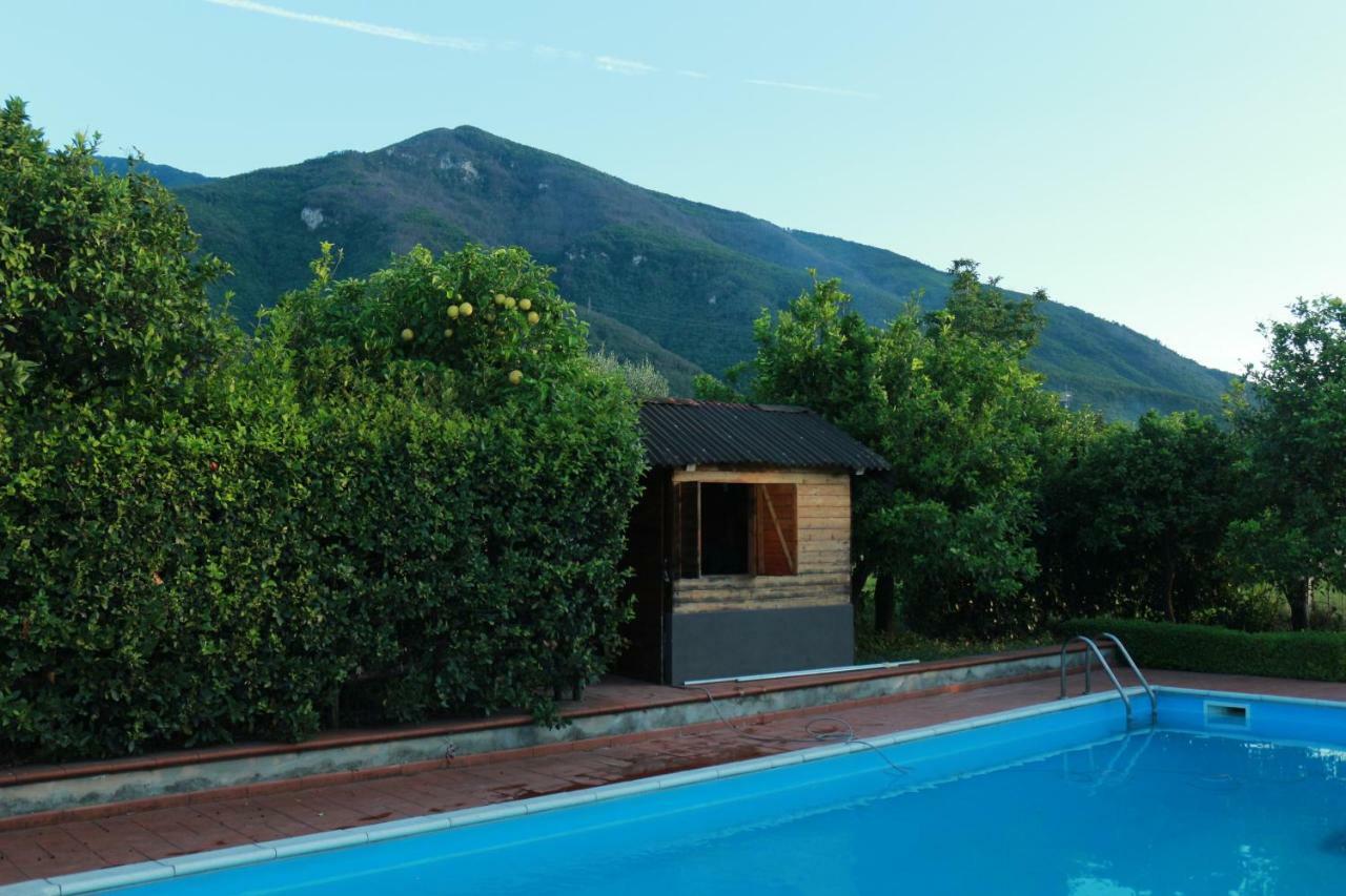 Villa Desiderio D'Ammore Corbara  Exterior foto