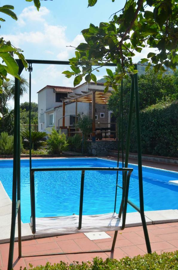 Villa Desiderio D'Ammore Corbara  Exterior foto