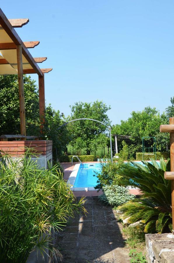 Villa Desiderio D'Ammore Corbara  Exterior foto