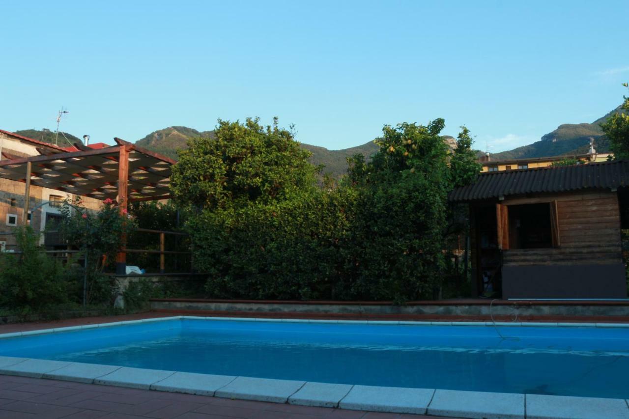 Villa Desiderio D'Ammore Corbara  Exterior foto