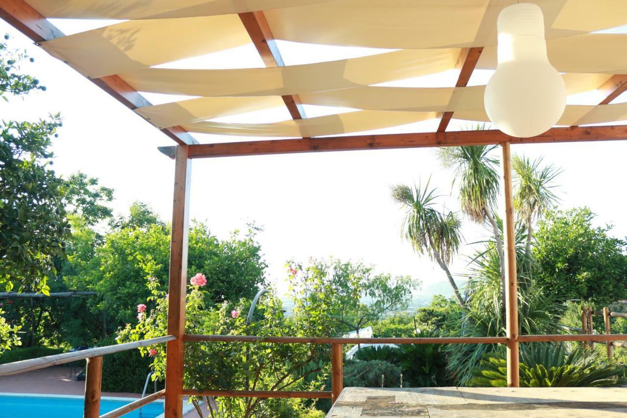 Villa Desiderio D'Ammore Corbara  Exterior foto