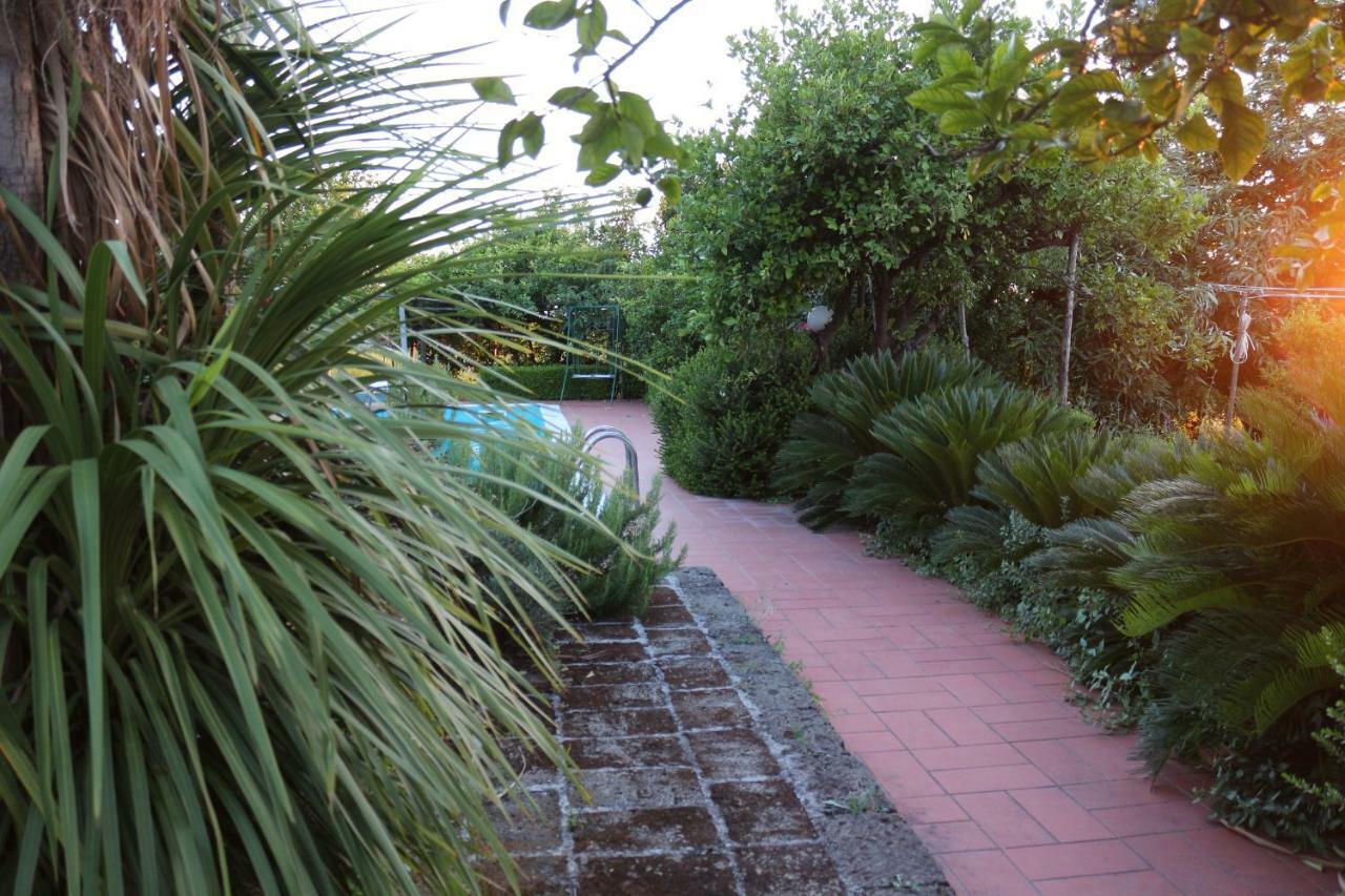 Villa Desiderio D'Ammore Corbara  Exterior foto