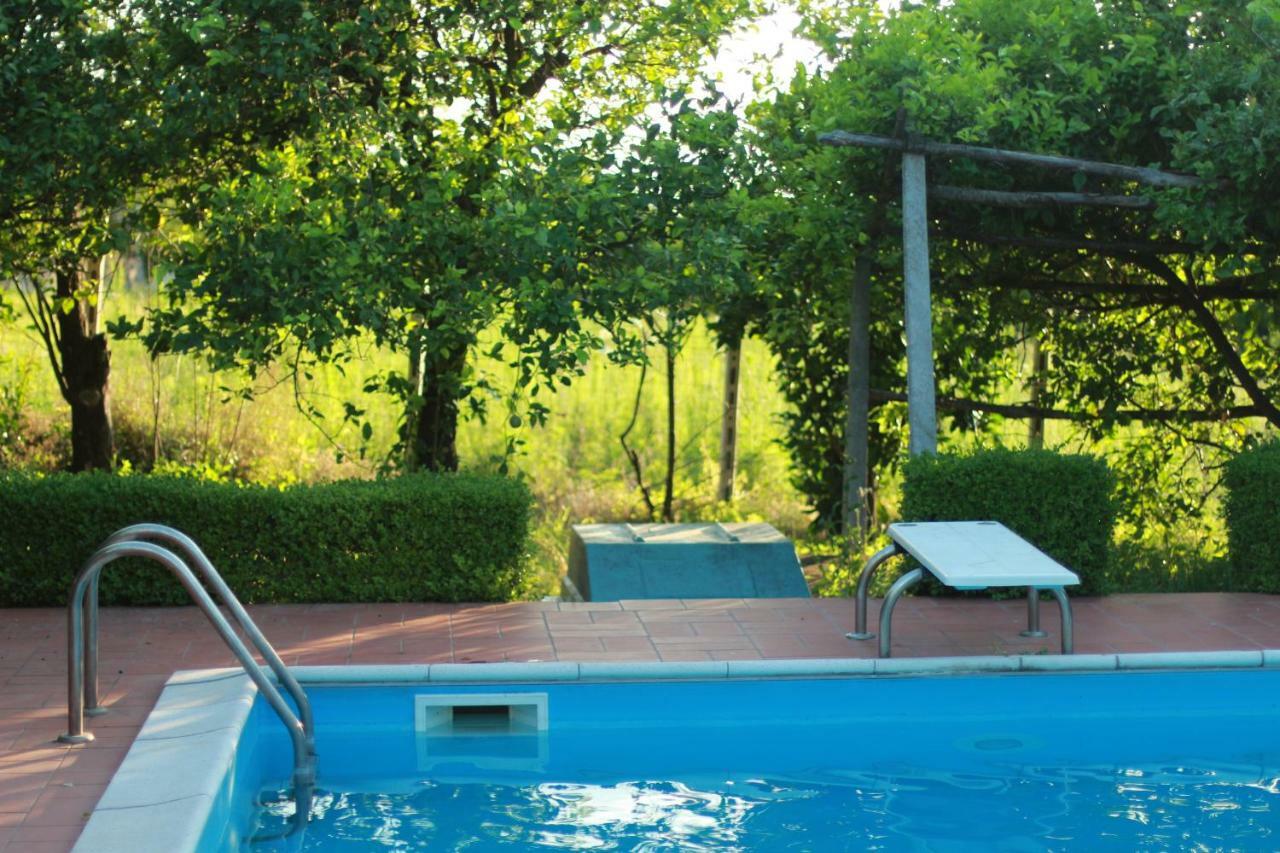 Villa Desiderio D'Ammore Corbara  Exterior foto