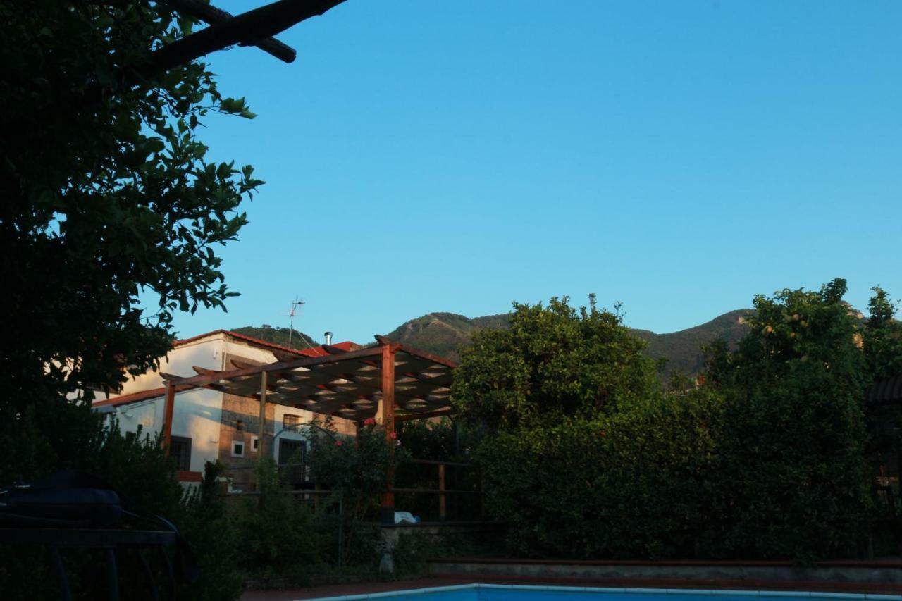 Villa Desiderio D'Ammore Corbara  Exterior foto
